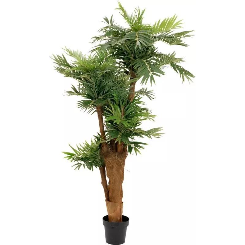 EUROPALMS palmeira areca planta artificial 170cm 82509408