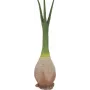 EUROPALMS palmeira Phoenix planta artificial, 240cm 82511353