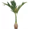 EUROPALMS palmeira Phoenix planta artificial, 240cm 82511353