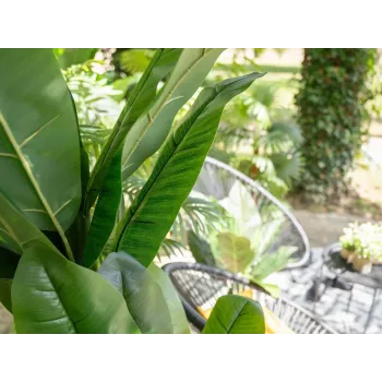 EUROPALMS bananeira artificial, 210 cm 82509507