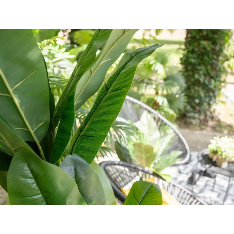 EUROPALMS bananeira artificial, 210 cm 82509507