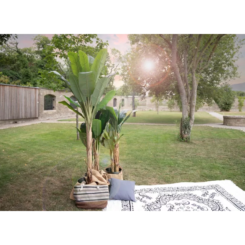 EUROPALMS bananeira artificial, 210 cm 82509507