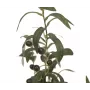 Oliveira artificial EUROPALMS, 68 cm, folhas verdes, vaso preto 82506421