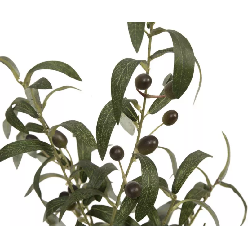 Oliveira artificial EUROPALMS, 68 cm, folhas verdes, vaso preto 82506421