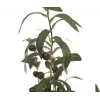 Oliveira artificial EUROPALMS, 68 cm, folhas verdes, vaso preto 82506421