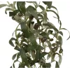 Oliveira artificial EUROPALMS, 104 cm 82506423