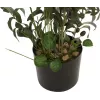 Oliveira artificial EUROPALMS, 104 cm 82506423