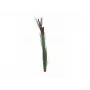 Planta de caniço artificial EUROPALMS com espigas, verde-escuro, 152 cm 82505854