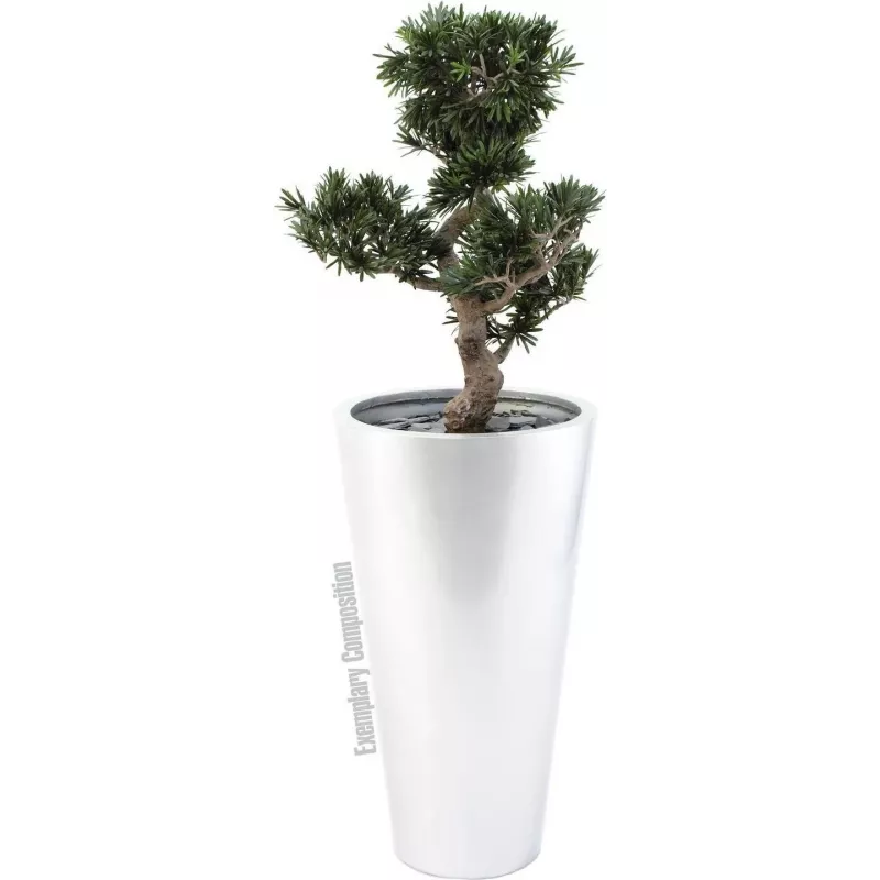 Planta artificial Bonsai Podocarpus EUROPALMS, 80 cm 82600116