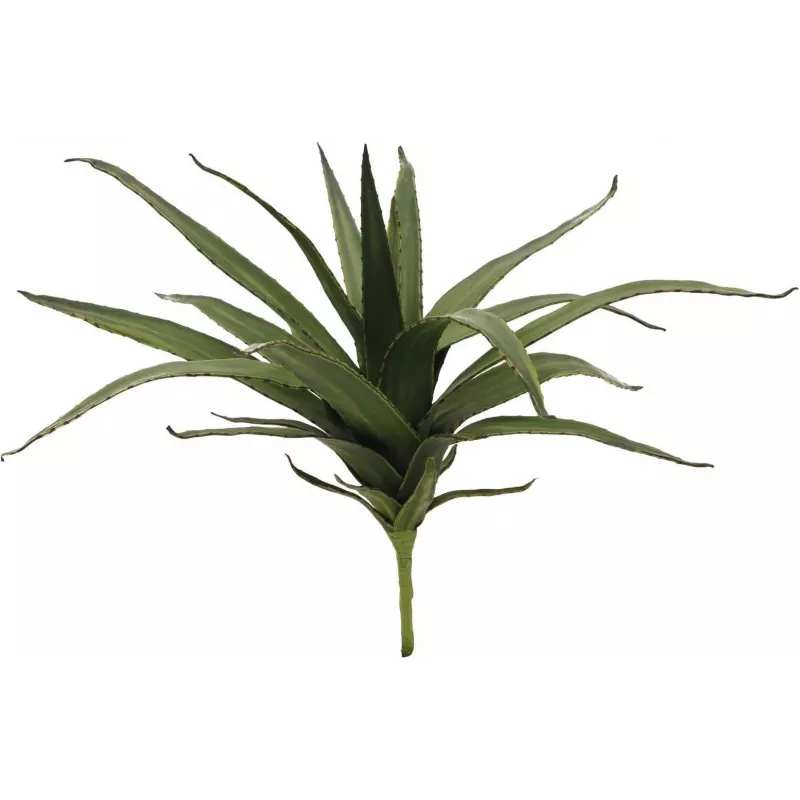 EUROPALMS aloé (EVA), artificial, verde, 50cm (82530570)