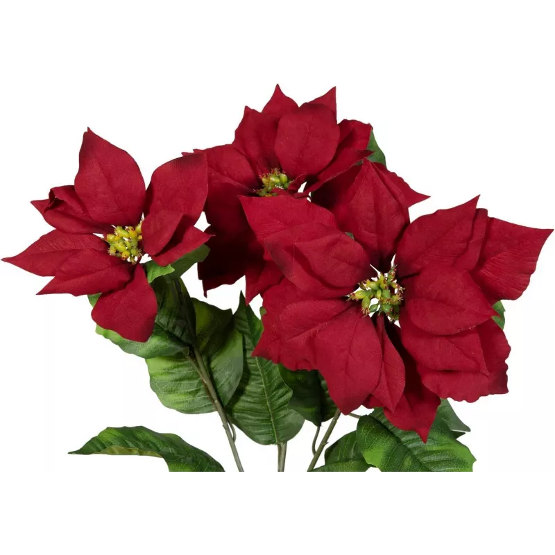 EUROPALMS arbusto de estrela-de-natal artificial, vermelho, 50cm 83500439