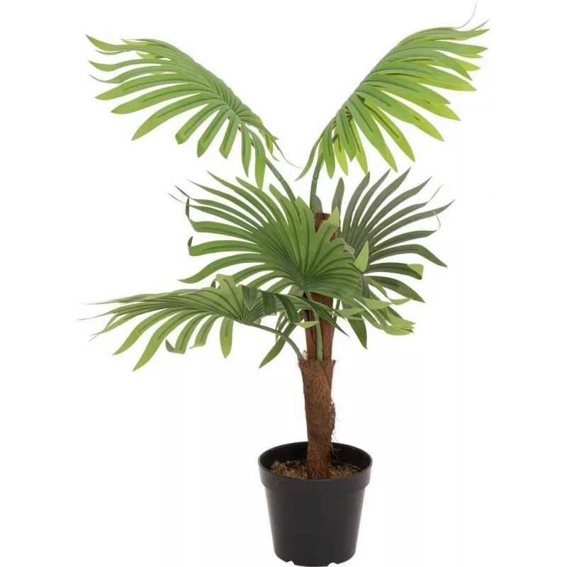 EUROPALMS palmeira-leque planta artificial, 88cm, verde, vaso preto 82509301