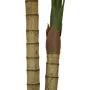 EUROPALMS palmeira areca, 2 troncos, planta artificial, 120cm (82509410)