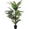 EUROPALMS palmeira areca planta artificial, 150cm 82509414