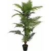 EUROPALMS palmeira areca planta artificial, 150cm 82509414