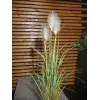 EUROPALMS Planta artificial silvestre, 120 cm 82600123