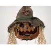 EUROPALMS Cabeça de abóbora amaldiçoada de Halloween, 70 cm (83316171)