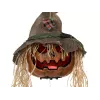 EUROPALMS Cabeça de abóbora amaldiçoada de Halloween, 70 cm (83316171)