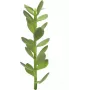 Planta artificial rebento de árvore da sorte EUROPALMS, 30 cm 82809010