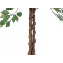 Planta artificial Ficus Benjamina multi-tronco EUROPALMS, 150 cm 82506125