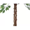 Planta artificial Ficus Benjamina multi-tronco EUROPALMS, 150 cm 82506125
