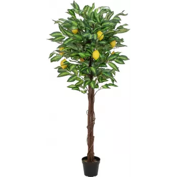 EUROPALMS Limoeiro artificial, 150cm 82507815