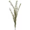 EUROPALMS ramo de alecrim artificial (EVA), verde 82531064