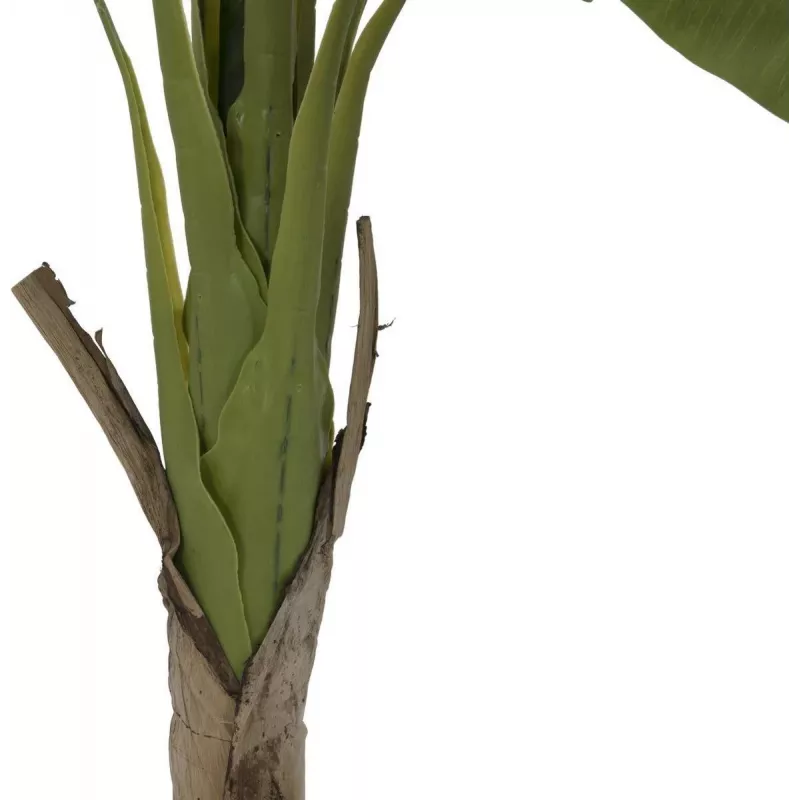 EUROPALMS bananeira planta artificial, 145cm 82509504
