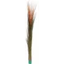 EUROPALMS cana-do-rio artificial, castanho-claro, 127 cm 82505852
