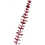 Ramo de eucalipto cristal artificial EUROPALMS, bordô, 81 cm 82600203