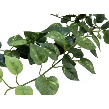 Sebe de pothos EUROPALMS Classic, artificial, 70 cm (82502201)