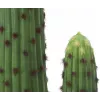 EUROPALMS cato mexicano planta artificial, verde, 117 cm 82801071