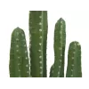 EUROPALMS cato mexicano planta artificial, verde, 123 cm 82801072