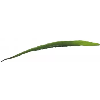 EUROPALMS folha de aloé artificial (EVA), verde, 60 cm 82530581
