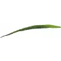 EUROPALMS folha de aloé artificial (EVA), verde, 60 cm 82530581