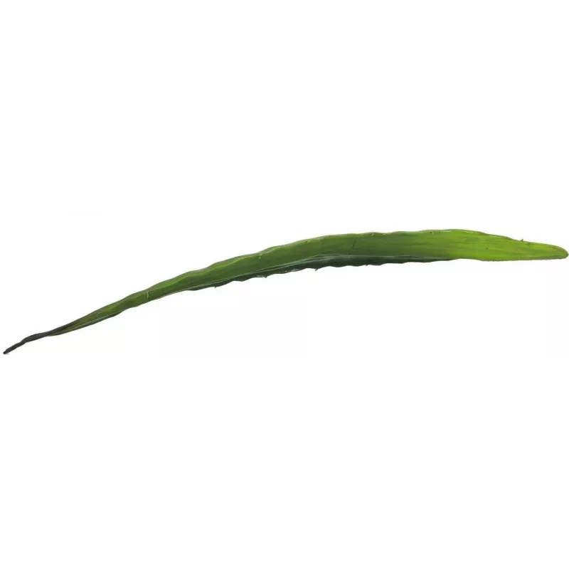 EUROPALMS folha de aloé artificial (EVA), verde, 60 cm 82530581