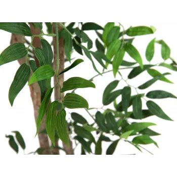 EUROPALMS Ficus Longifolia planta artificial, 165 cm 82506350