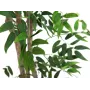 EUROPALMS Ficus Longifolia planta artificial, 165 cm 82506350