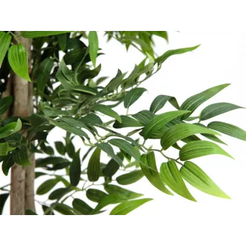 EUROPALMS Ficus Longifolia planta artificial, 165 cm 82506350