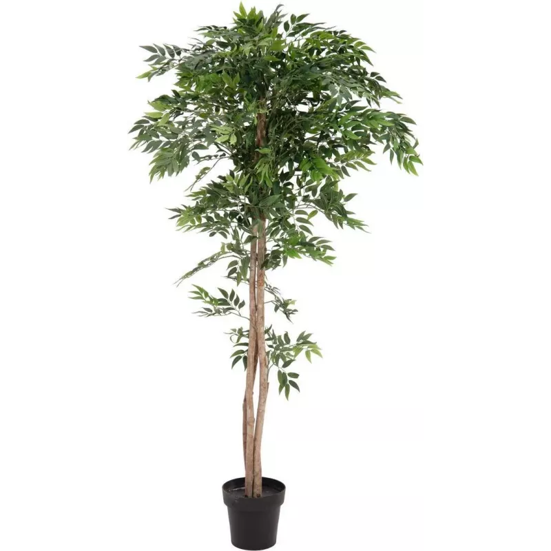 EUROPALMS Ficus Longifolia planta artificial, 165 cm 82506350