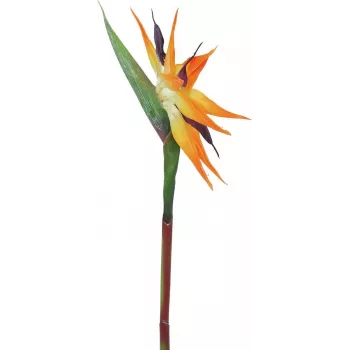 EUROPALMS estrelícia artificial, laranja, 95 cm 82530559
