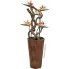 EUROPALMS estrelícia artificial, laranja, 95 cm 82530559