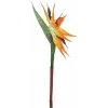 EUROPALMS estrelícia artificial, laranja, 95 cm 82530559