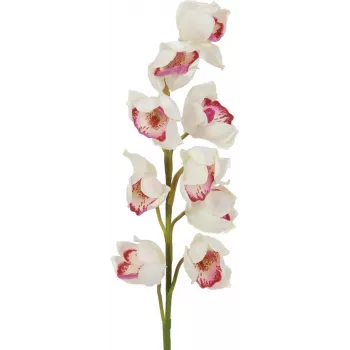 EUROPALMS ramo de Cymbidium, artificial, branco-rosa, 90 cm 82530312