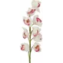 EUROPALMS ramo de Cymbidium, artificial, branco-rosa, 90 cm 82530312