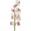 EUROPALMS ramo de Cymbidium, artificial, branco-rosa, 90 cm 82530312