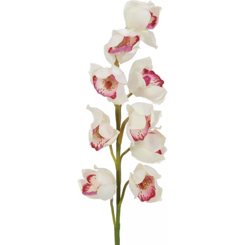 EUROPALMS ramo de Cymbidium, artificial, branco-rosa, 90 cm 82530312