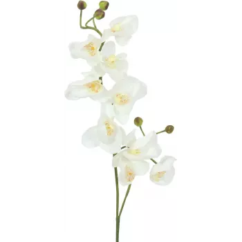 EUROPALMS ramo de orquídea artificial, creme-branco, 100 cm (82530323)