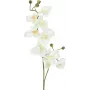EUROPALMS ramo de orquídea artificial, creme-branco, 100 cm (82530323)
