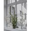 EUROPALMS ramo de orquídea artificial, creme-branco, 100 cm (82530323)